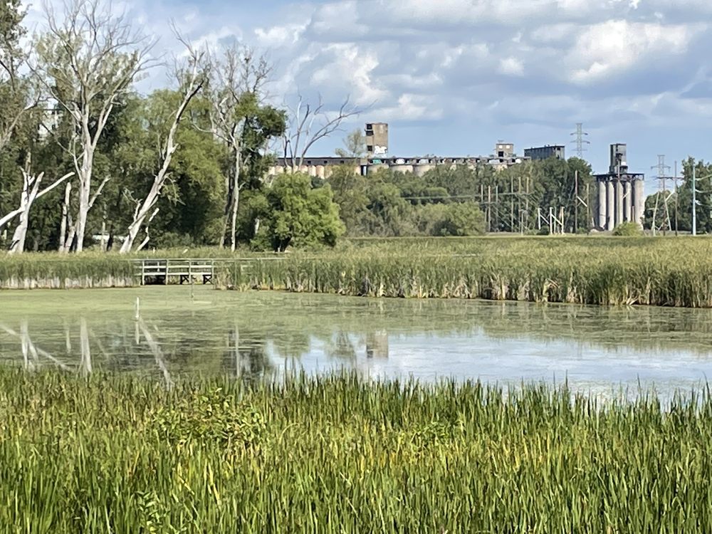 Silo City