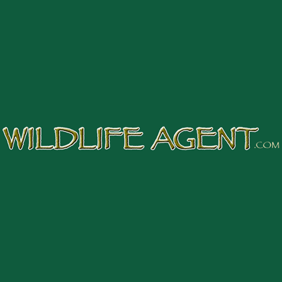 Hulick's Wildlife Control