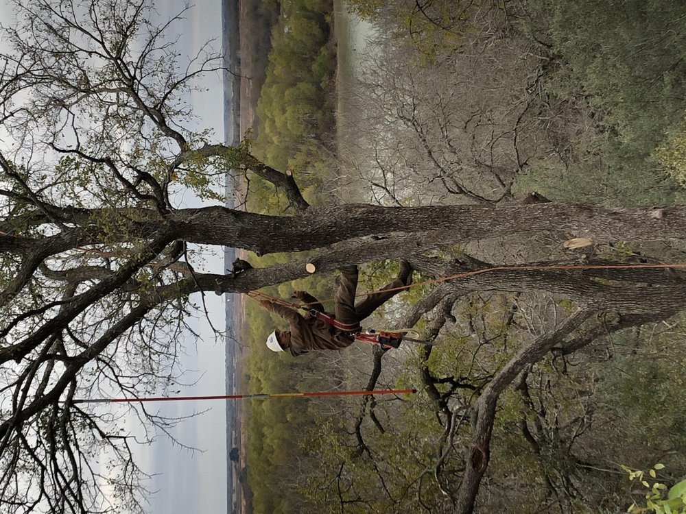 Texas Rainbow Tree Service