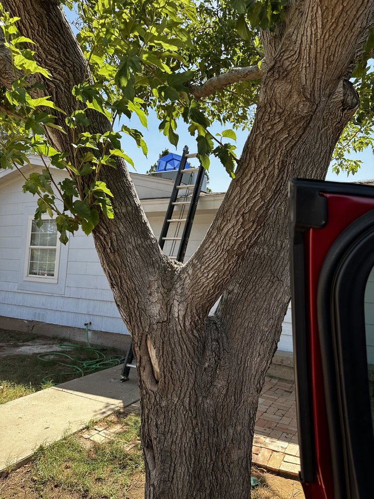 image of business Artic Air Heating & Air Conditioning