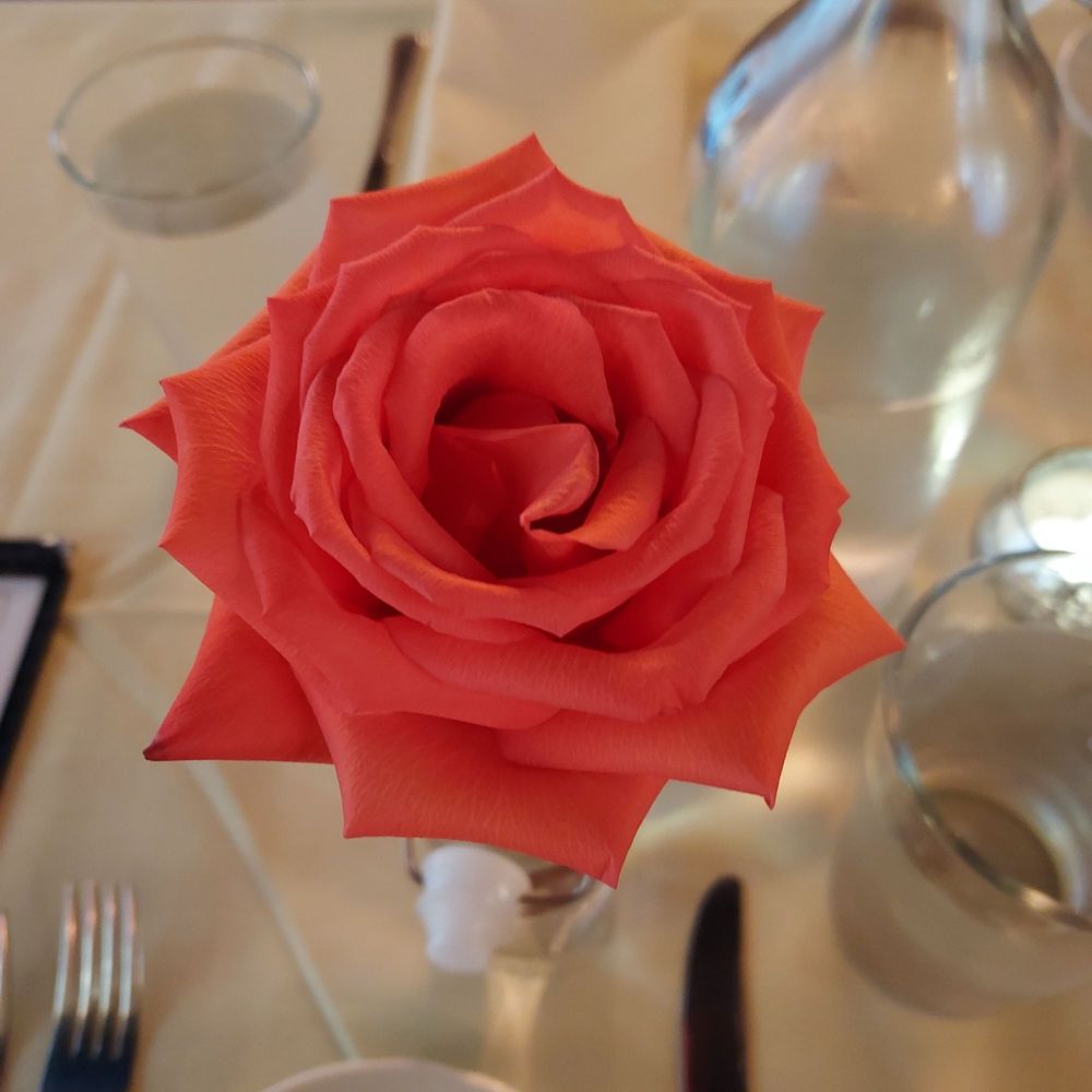 CiBi Italian Restaurant