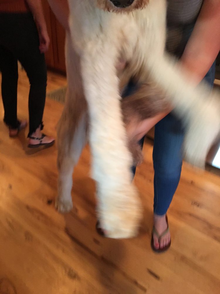 image of business Walk On Wood Floor
