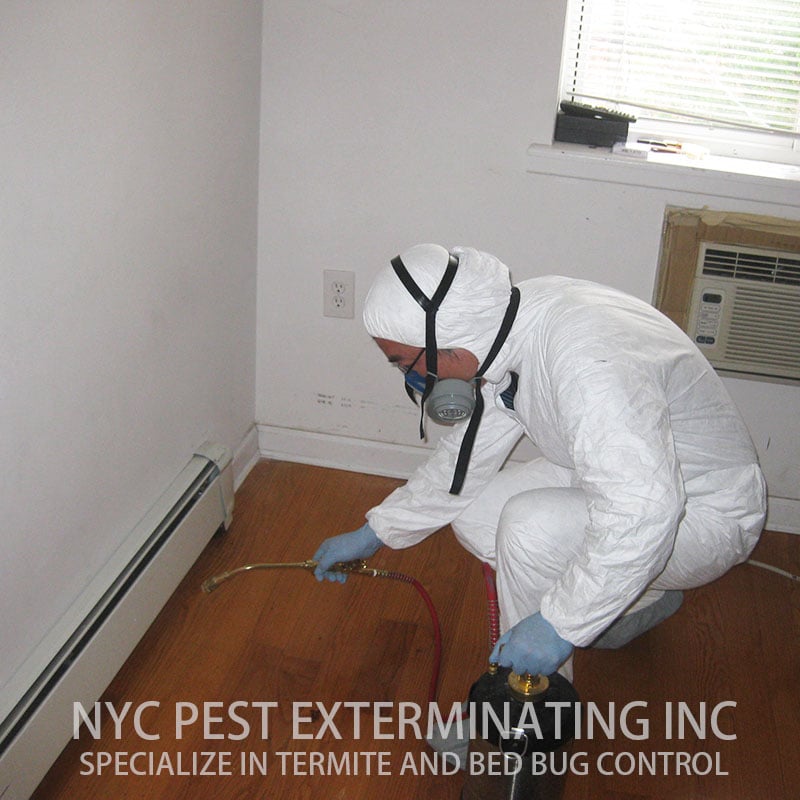 NYC Pest Exterminating Pest Control 18 Adler Pl, Cypress Hills