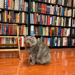 Recycle Book Store 138 Photos 373 Reviews Used Bookstore