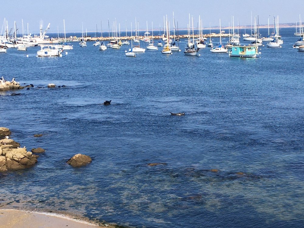 Coast Guard Wharf