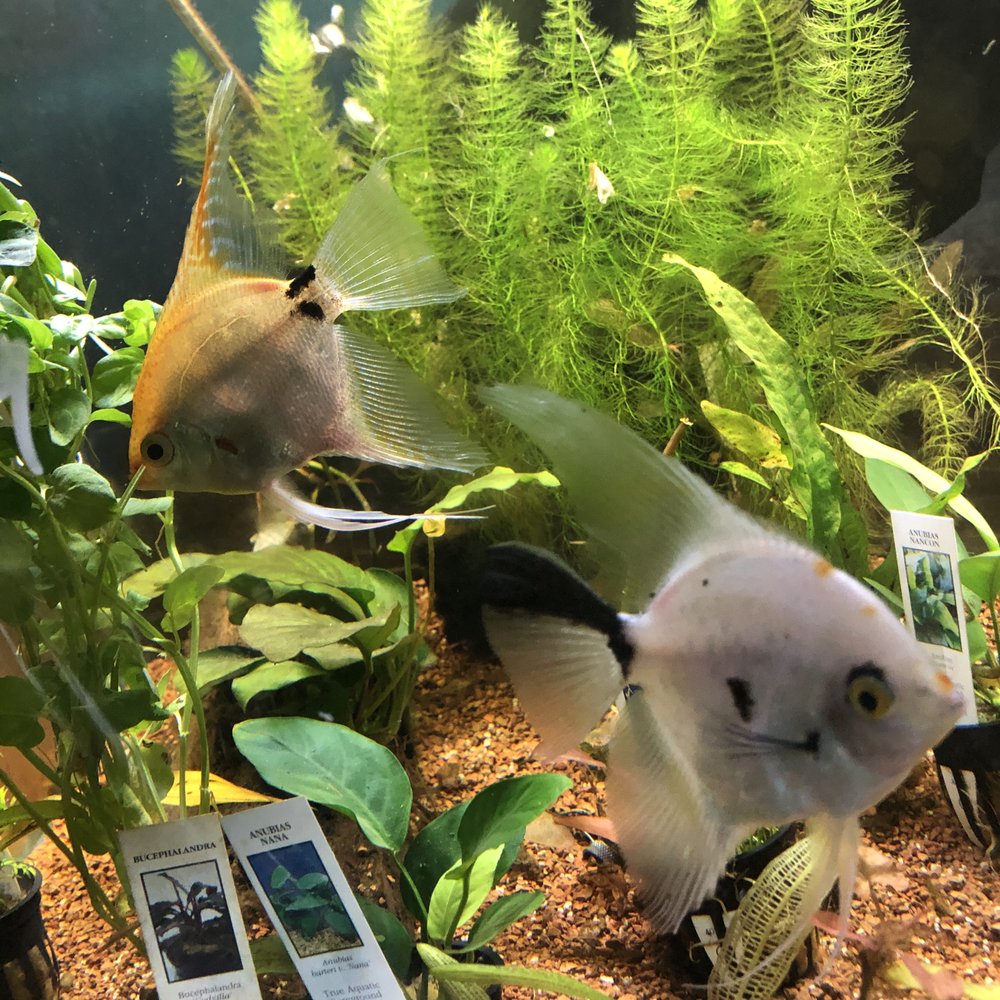 Pioneer West Garden & Pet Center