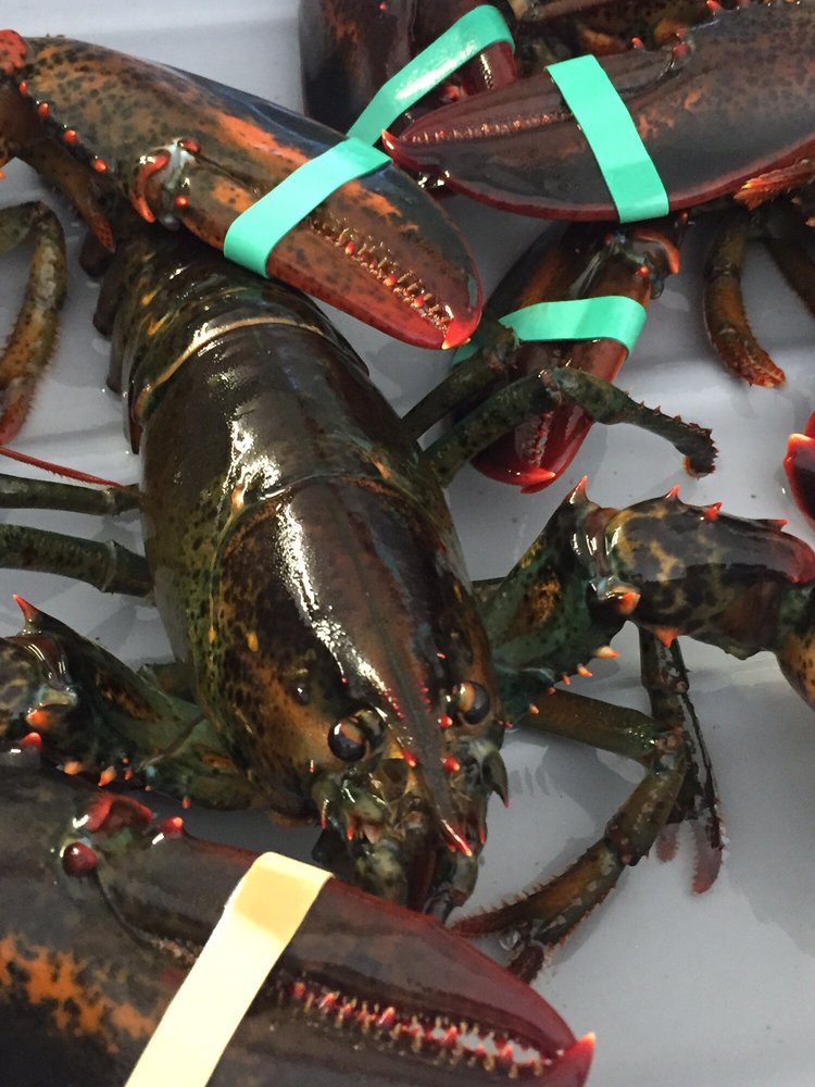 Turner Lobsters 2019 All You Need to Know BEFORE You Go (with Photos