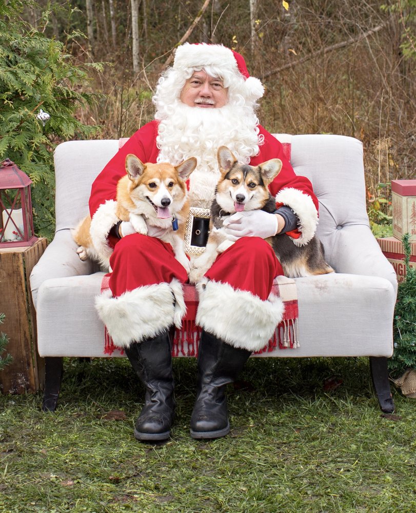 Love Life Family Photography