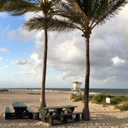 Fort Lauderdale Beach Park 294 Photos 29 Reviews Parks 1100 The Photo Of Fort Lauderdale Beach Park Fl United States