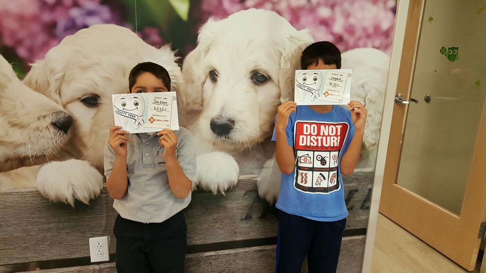 image of business Smiles For Kids Dentistry & Orthodontics