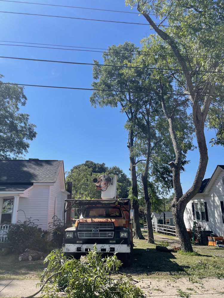 Ziemba’s Landscaping & Tree Service