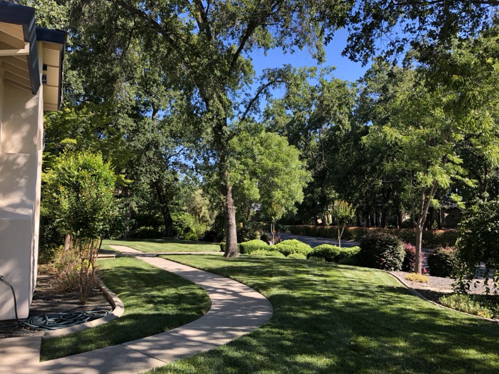 Distinctive Landscape & Maintenance