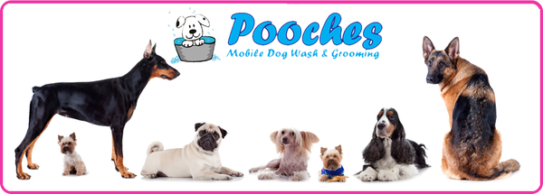Mobile Dog Grooming Blackpool Mobile Dog Grooming Blackpool