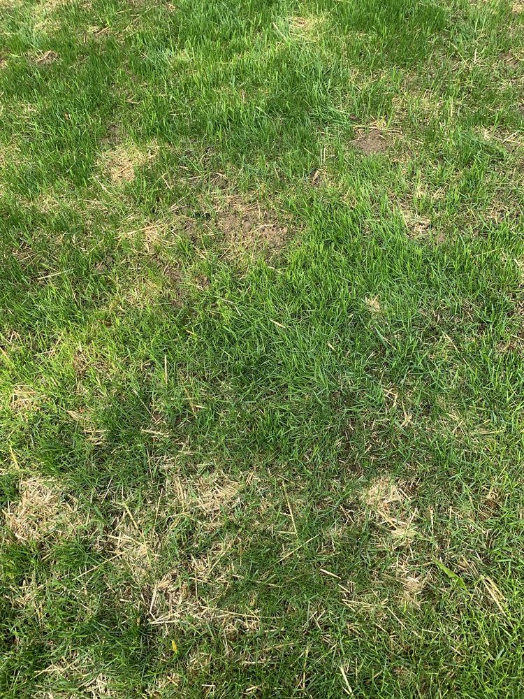 Paramo Landscaping