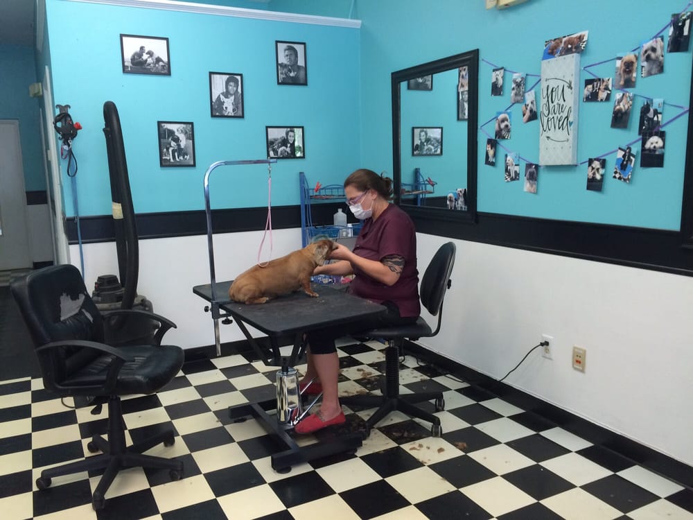 Uptown Paws Pet Spa Pet Groomers 3495 W Anthony Rd, Ocala, FL
