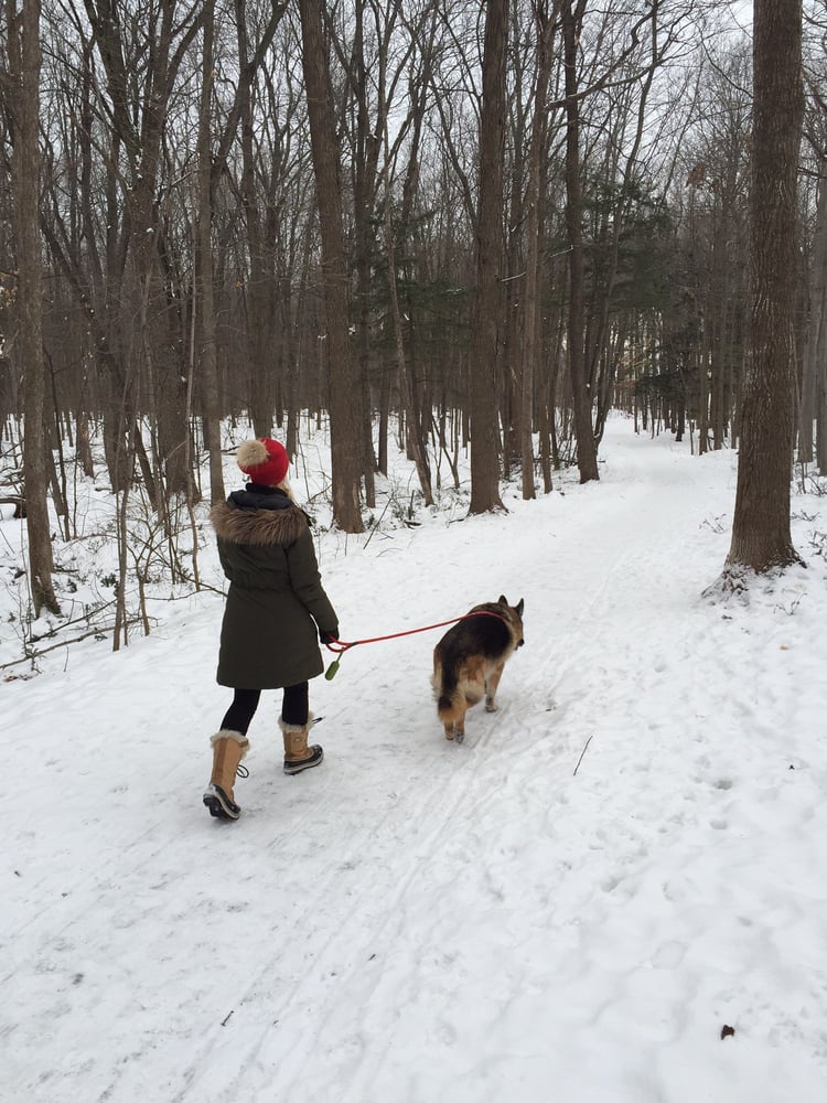 Parc Nature du Bois-de-Liesse