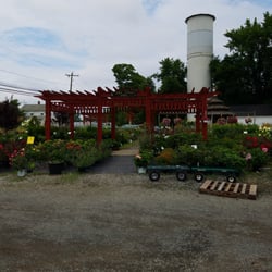 Tower Farms Nurseries Gardening 1338 Highland Ave Cheshire Photo Of Tower Farms Cheshire Ct United States