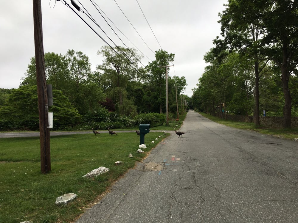 Rocky Point Walking Path 63 Photos & 18 Reviews Hiking 130 Rocky