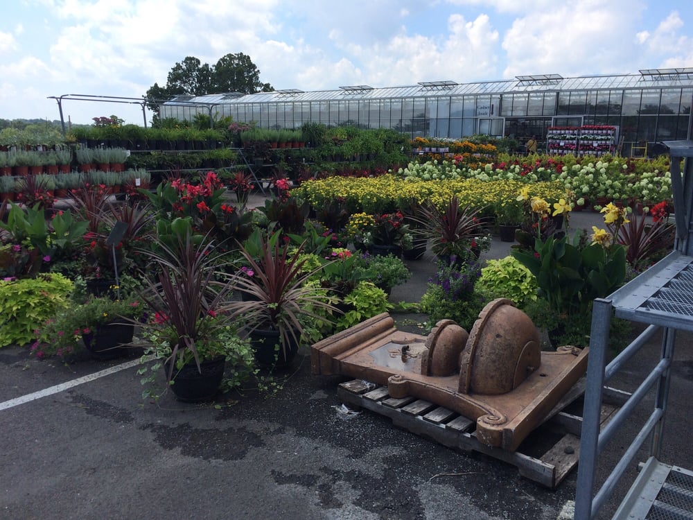 Hionis Greenhouses Nurseries & Gardening 4 Coddington Rd