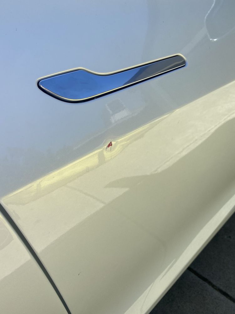 Dent Proof