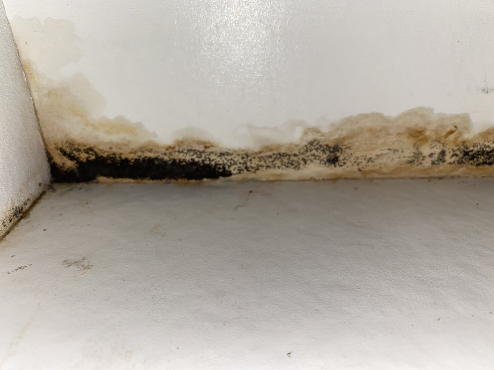 Mr. Rooter Plumbing of Wilmington and Brunswick County