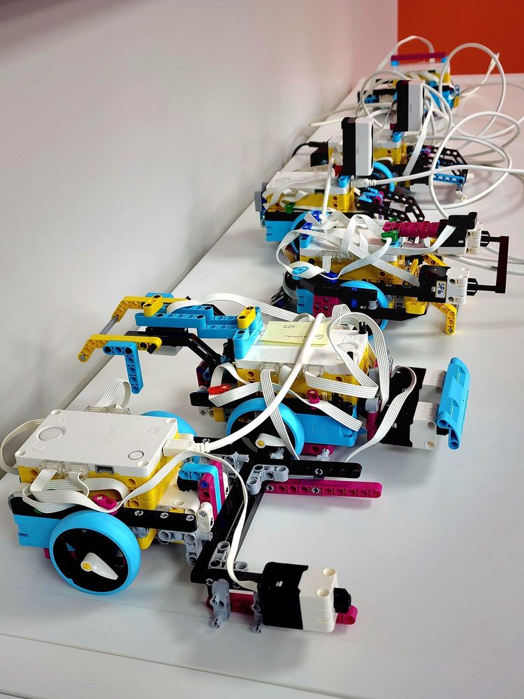 Zebra Robotics