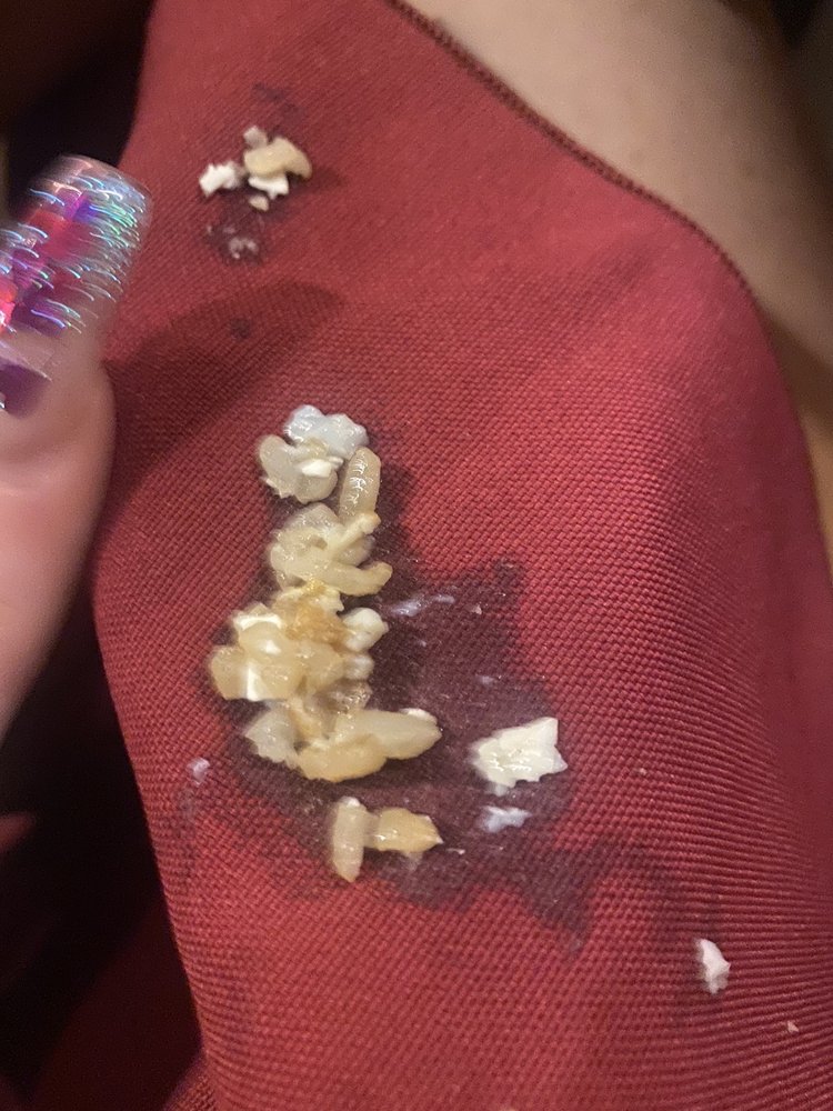 JoTo Japanese Steak House JoTo Japanese Steak House