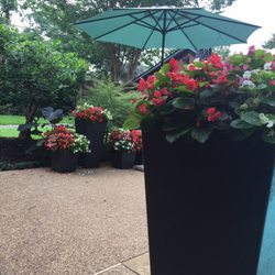 Ruibal S Plants Of Texas Nurseries Gardening 6670 Lemmon Ave Ruibal S Plants Of Texas Nurseries Gardening 6670 Lemmon Ave Dallas Tx Phone Number Yelp