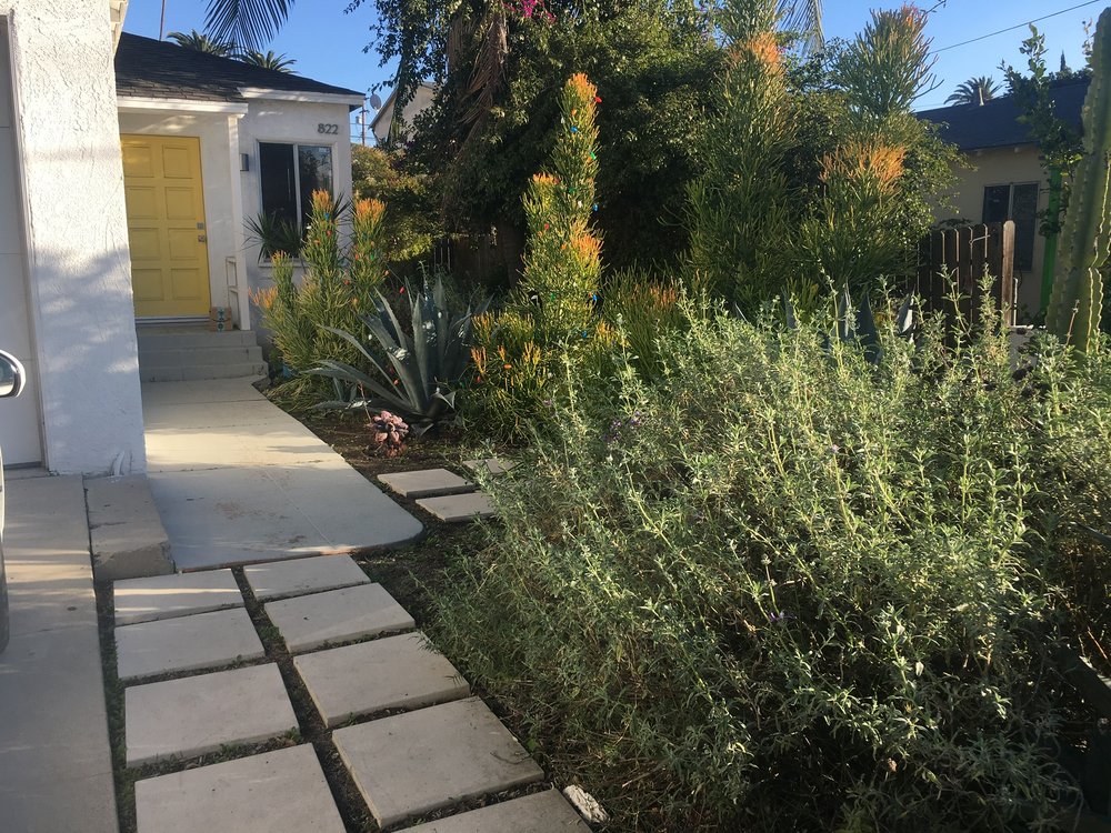 This Was A Lawn Yelp Photo Of Fairy Yardmother Landscape Design Los Angeles Ca United States This