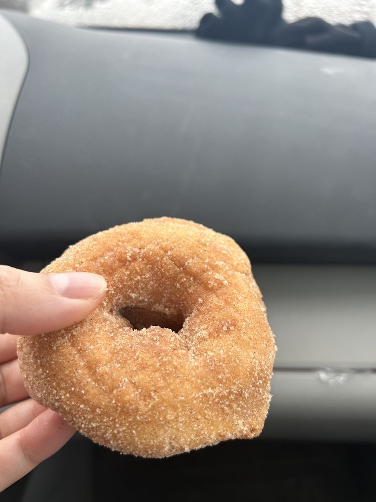 Donut Palace