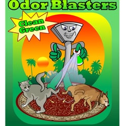 Dirt Blasters Carpet Cleaning 58 Photos 43 Reviews Photo Of Dirt Blasters Carpet Cleaning Atlanta Ga United States Pet Odor