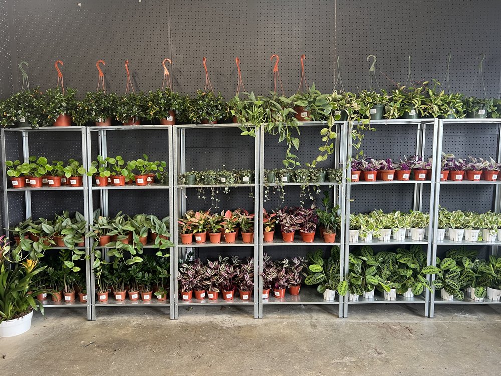 Vazquez Nursery
