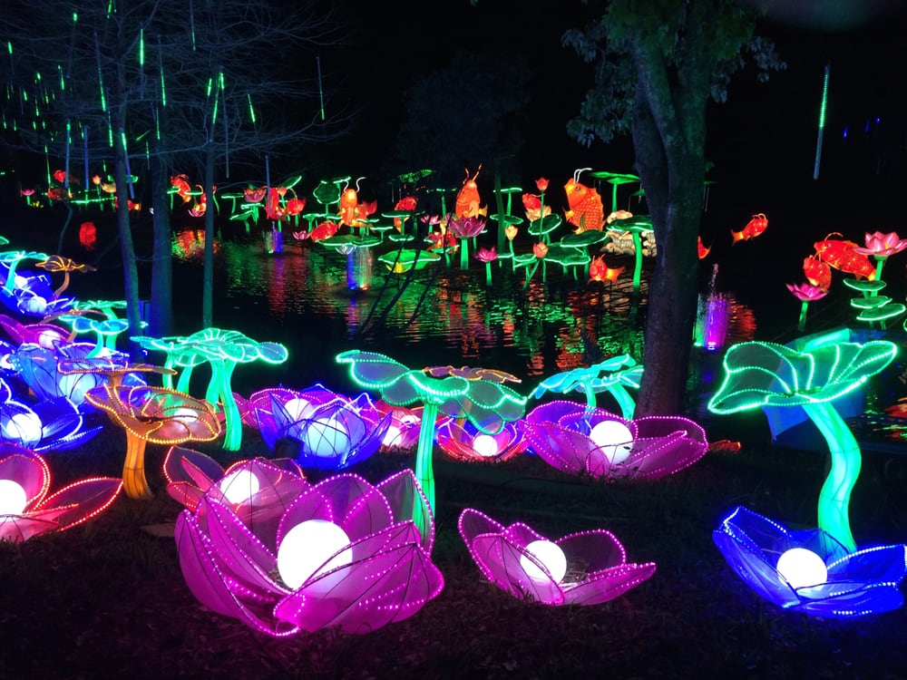 Photos for Zoominations At Lowry Park Zoo Yelp