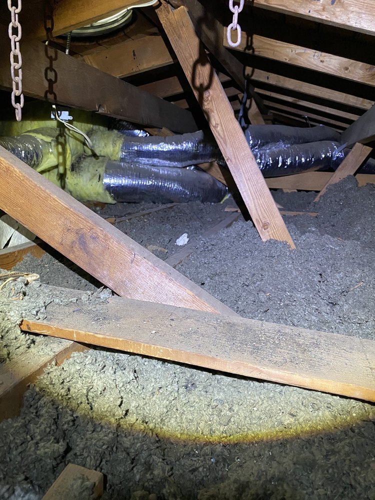 Ecorattic Insulation