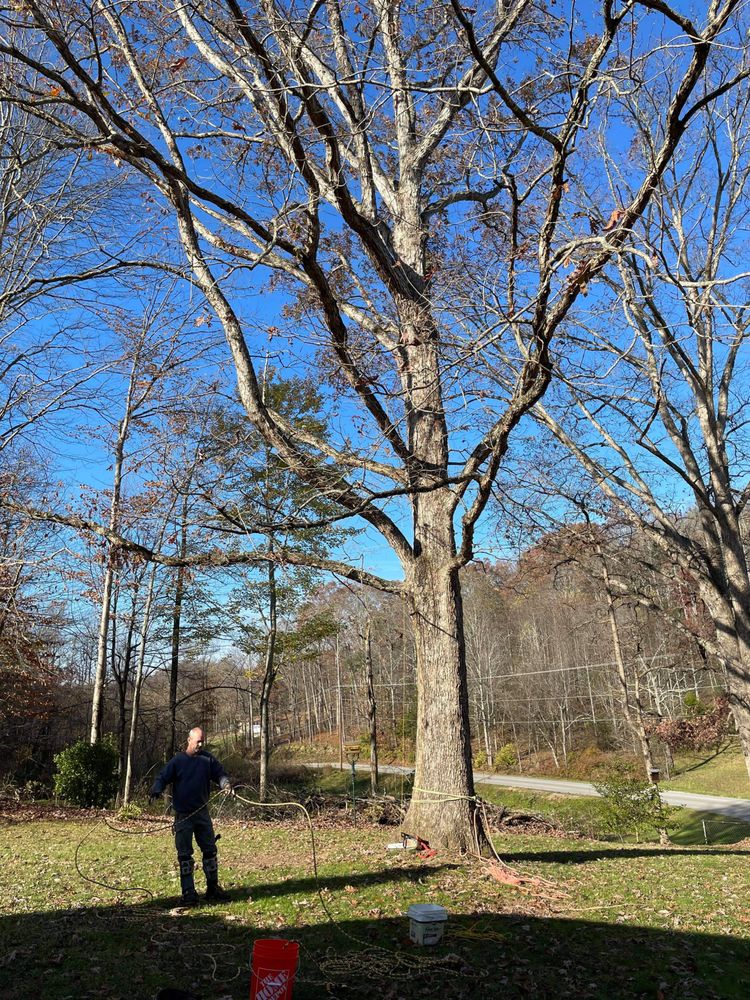 Lowery tree service