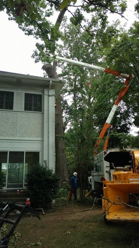 Pegram Tree Service