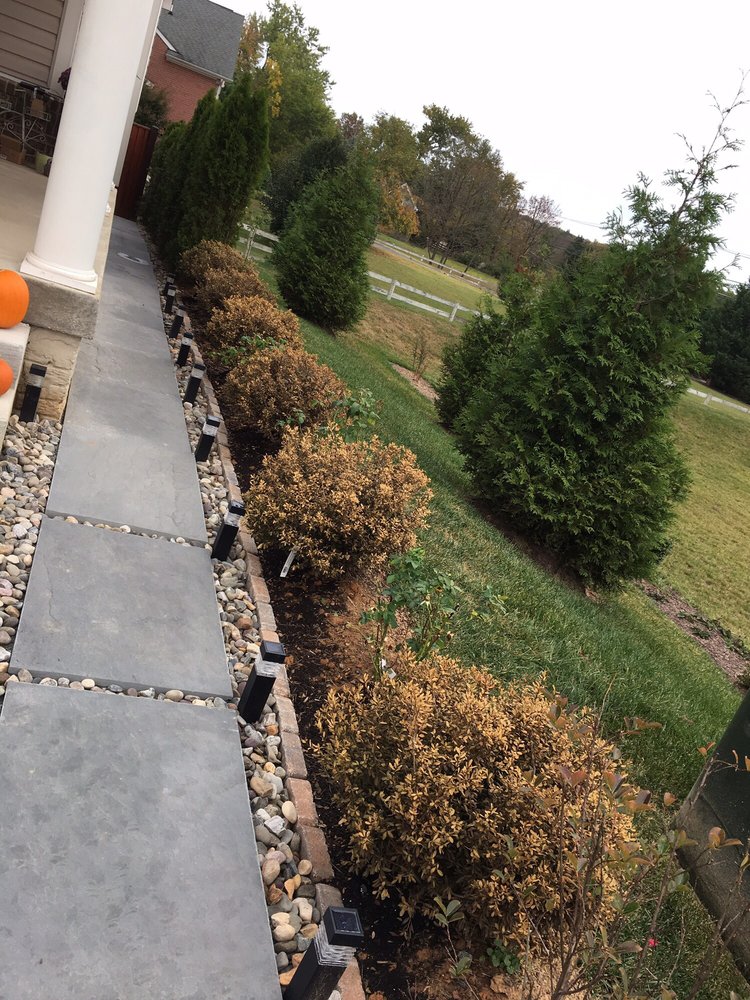 Johnson’s Florist & Garden Centers 40 Photos Nurseries & Gardening