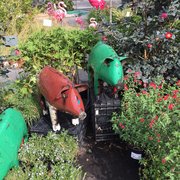 Garden Center Closed Nurseries Gardening 6855 N Evergreen Garden Center