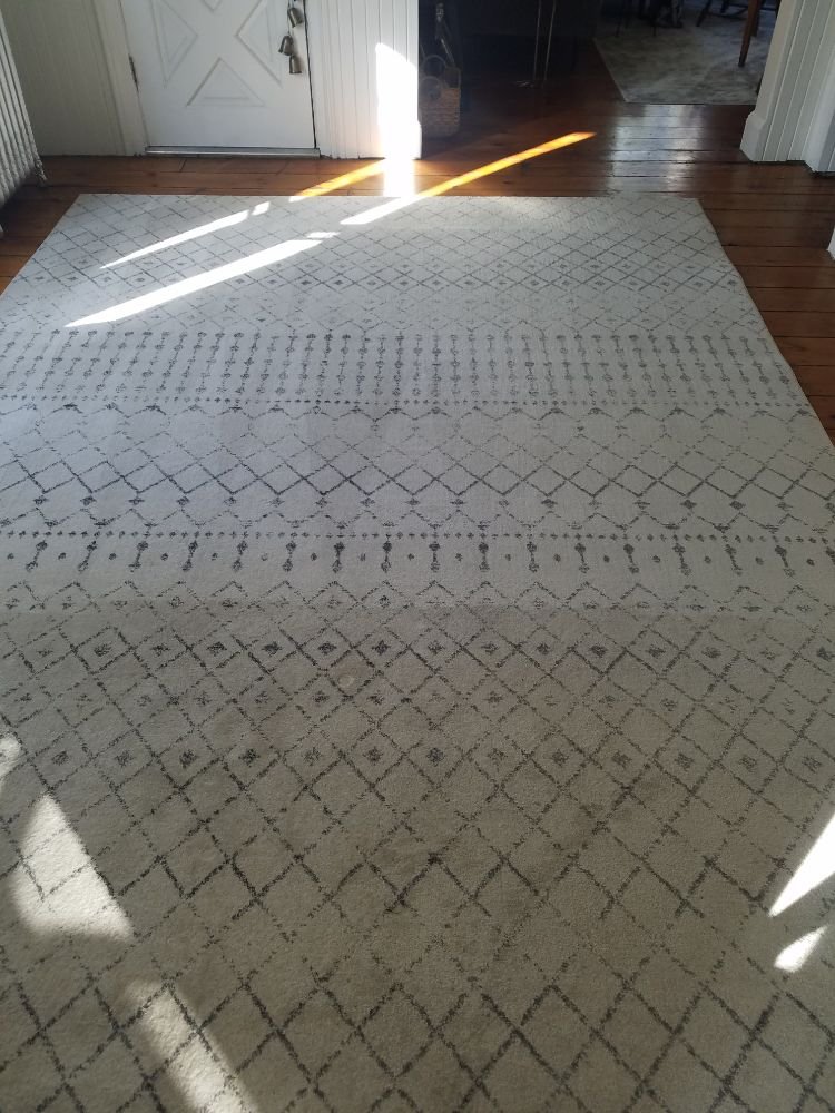 Area Rug Cleaning Near Ann Arbor Michigan Yelp Photo Of Healthy Carpets Ann Arbor Mi United States Area Rug Cleaning