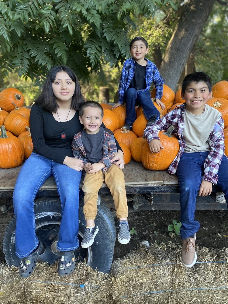 Hillcrest Christmas Tree & Pumpkin Farm