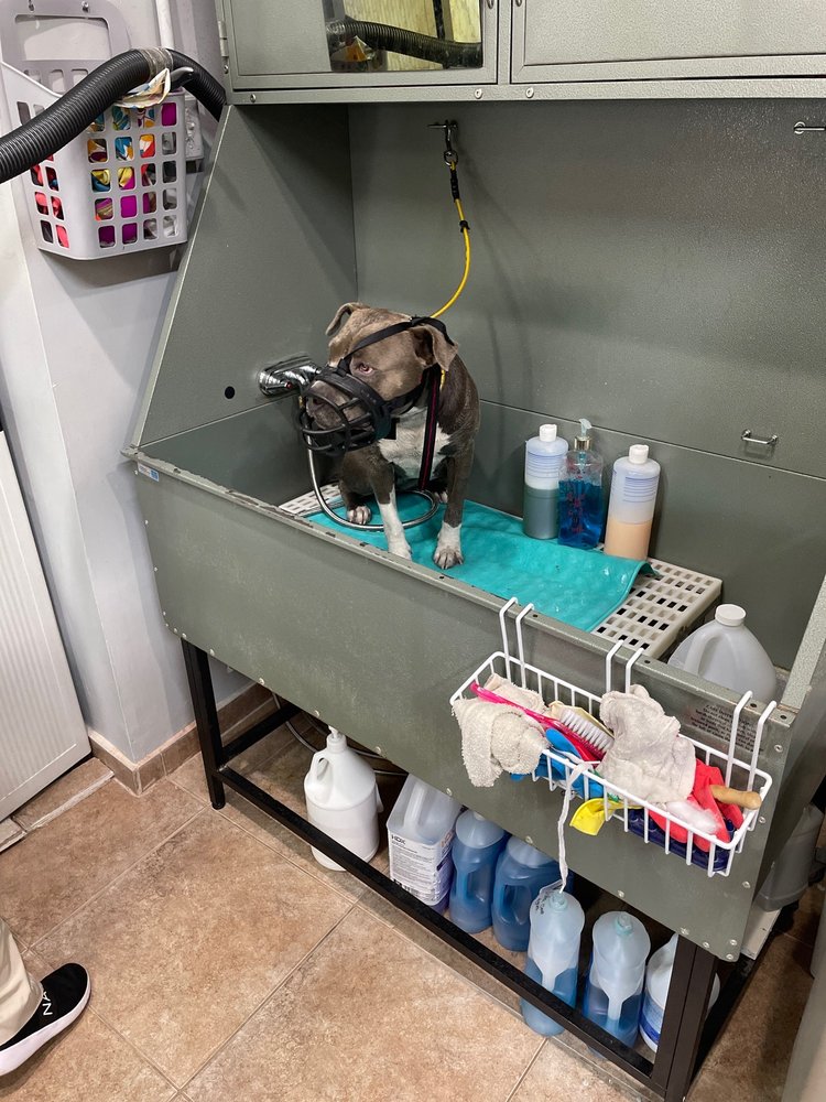 Furry Planet Grooming Salon