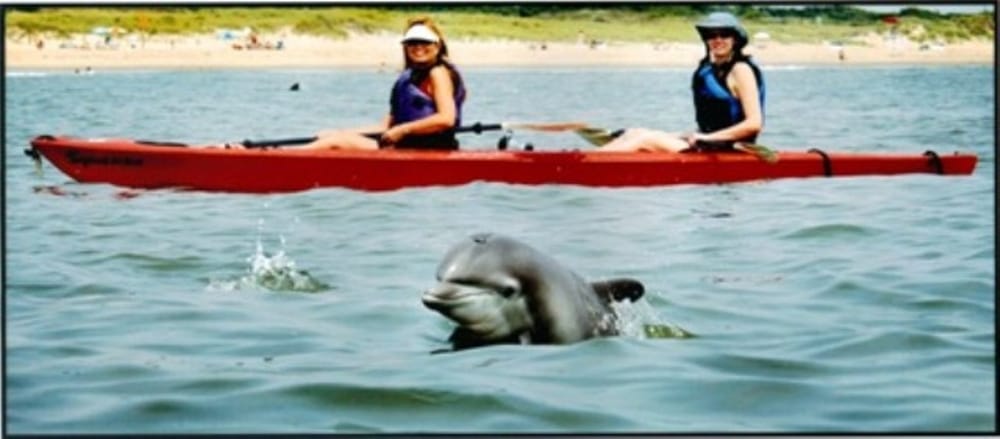 Kayaking With The Dolphins In Virginia Beach Va And Kayak Nature Photo Of Kayak Nature Tours Virginia Beach Va United States Kayaking With