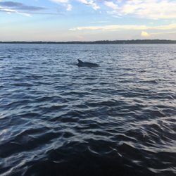 Turtle Tides Amelia Tours Fernandina Beach Fl Phone Number Yelp Photo Of Turtle Tides Amelia Fernandina Beach Fl United States See Amazing