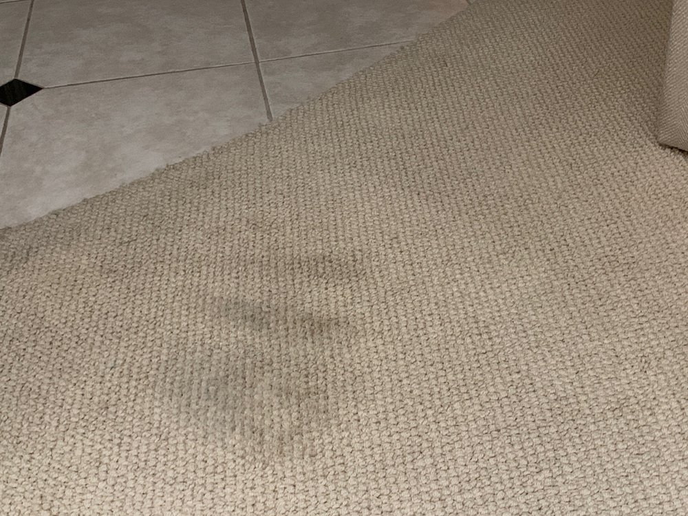 We Clean Carpet