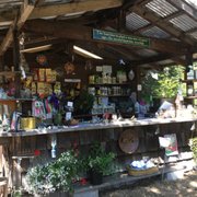 Spring Hill Nursery Gardens 16 Photos Nurseries Gardening Photo Of Spring Hill Nursery Gardens Mount Shasta Ca United States