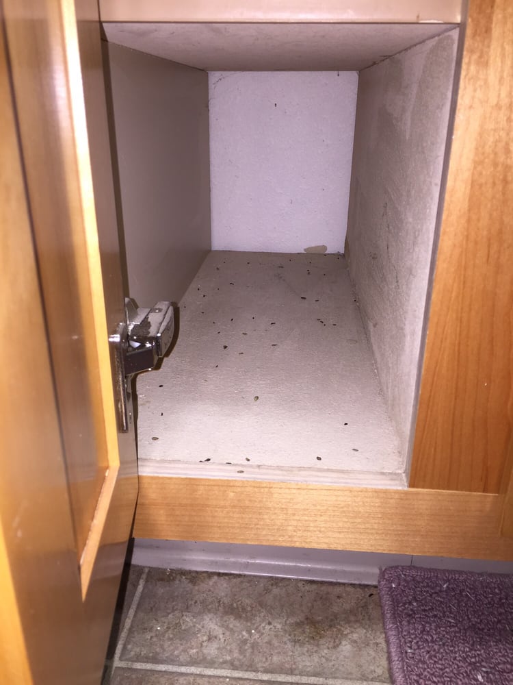 More Mice Droppings Inside My Kitchen Cabinets Yelp Photo Of Park Ridge Apartments Fresno Ca United States More Mice Droppings