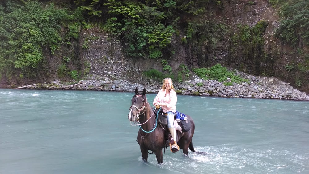 Triple C Pleasure Horses Request a Quote Horse Boarding 42829