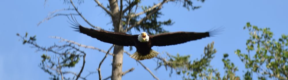 Kalo Cares on the Brody Broker Team