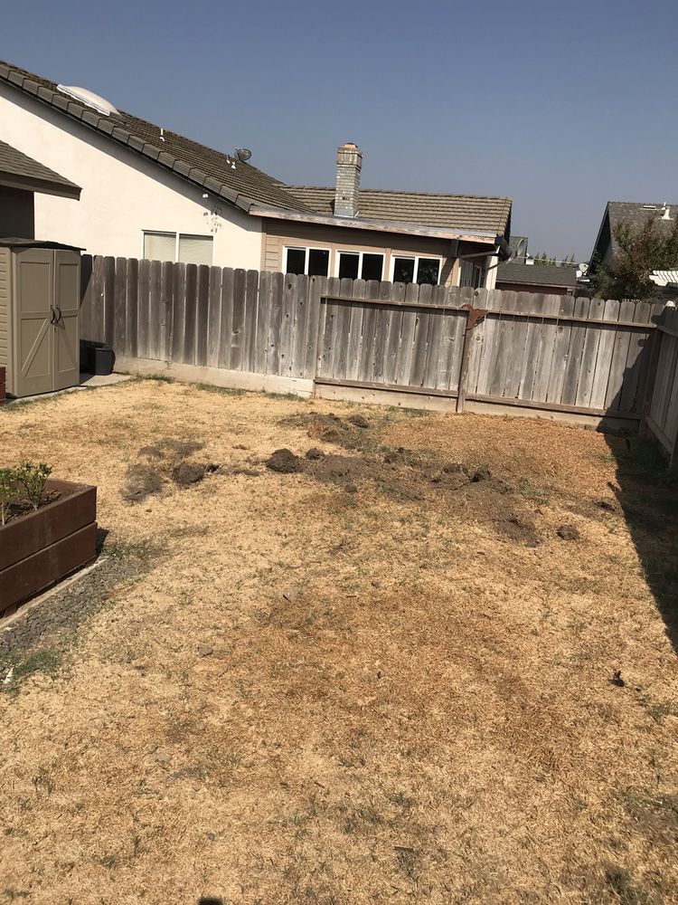 Luis Gardening