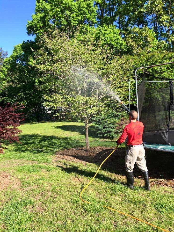 Linebergers Tree Service